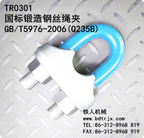 TR0301 Wire Rope Clips(GB/T5976-2006)
