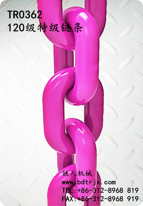 TR0362 120 Lifting Chain