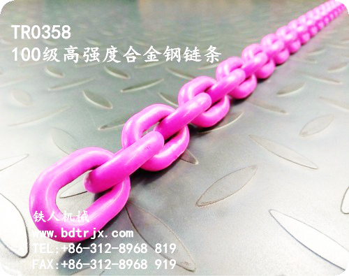 TR0358 100 Lifting Chain