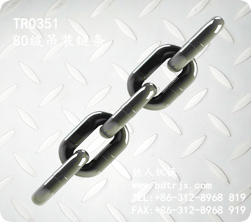 TR0351 80 Lifting Chain