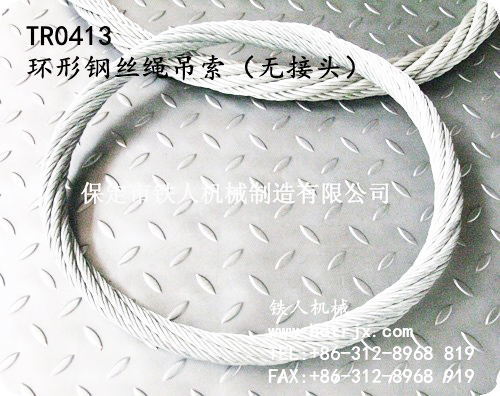 TR0413 Wire Rope Sling With Round