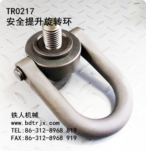 TR0217 Safety Swivel Hoist Rings