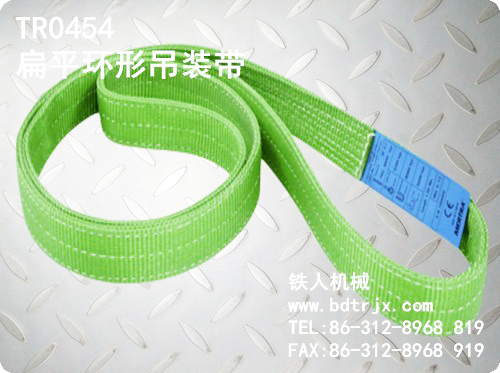 TR0454 Endless Webbing Sling